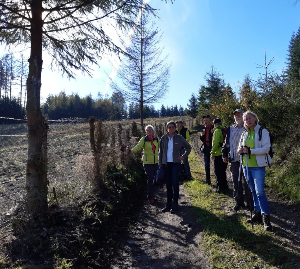 Wanderer auf dem Sauerland Höhenflug