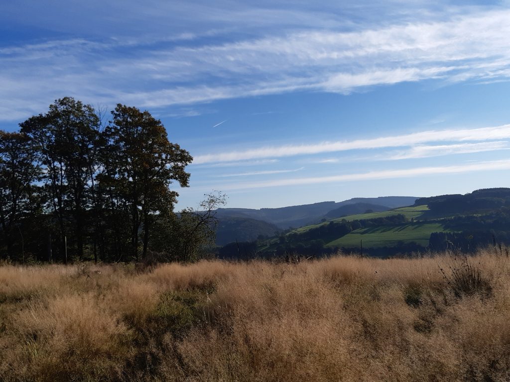 Impressionen auf dem Sauerland Höhenflug