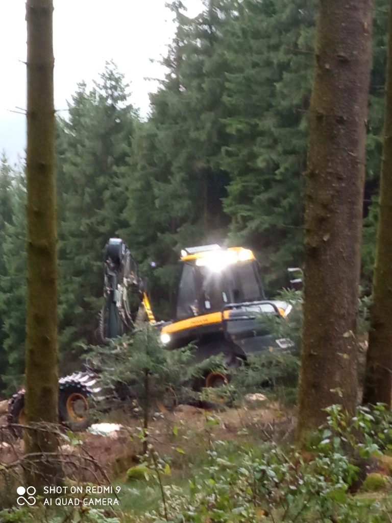 Waldarbeiten am Ohlenkopf