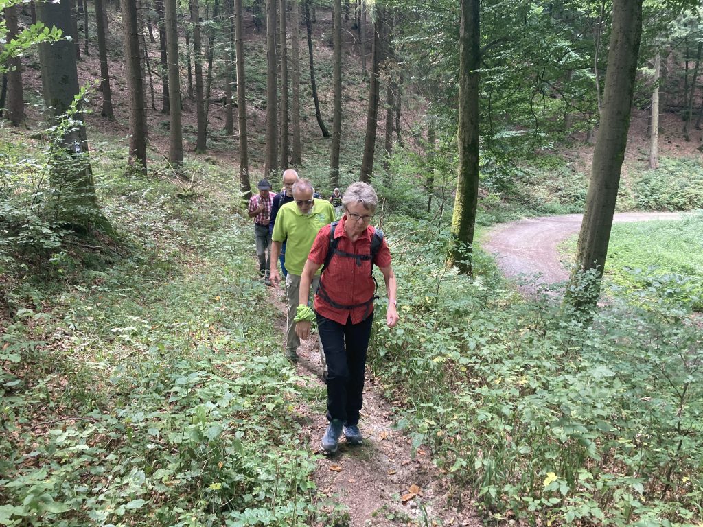 Ruhrhöhenweg von Nuttlar nach Bigge am 28.08.2022