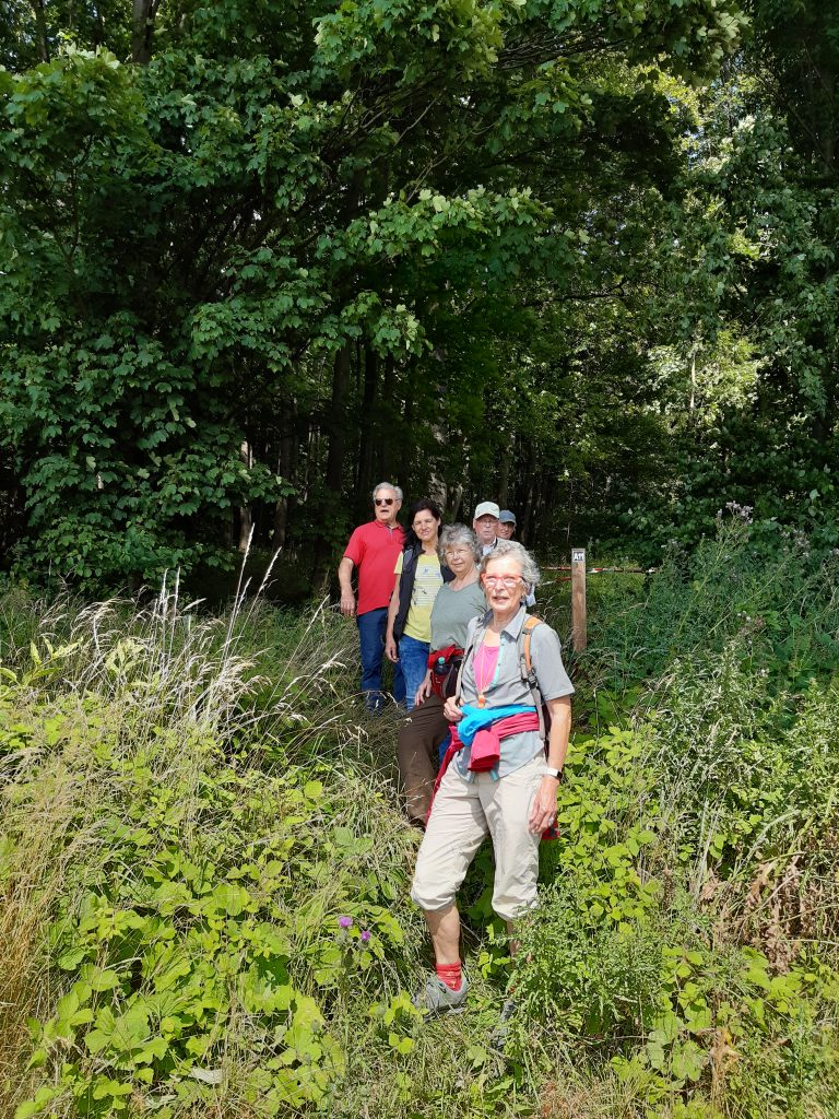 Im tiefen Wald- endlich Licht