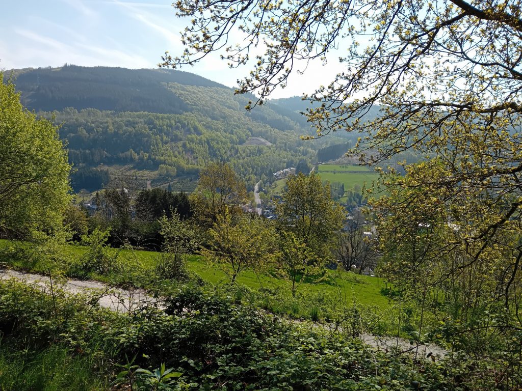 Mai-Wanderung der Rüstigen