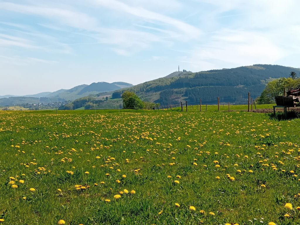 Mai-Wanderung der Rüstigen - in der Ferne der Stüppelturm
