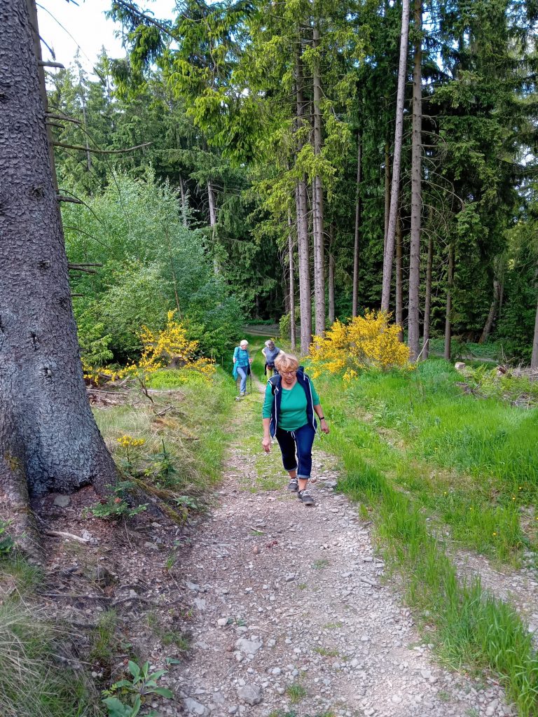 Jedermann-Wanderung im Mai