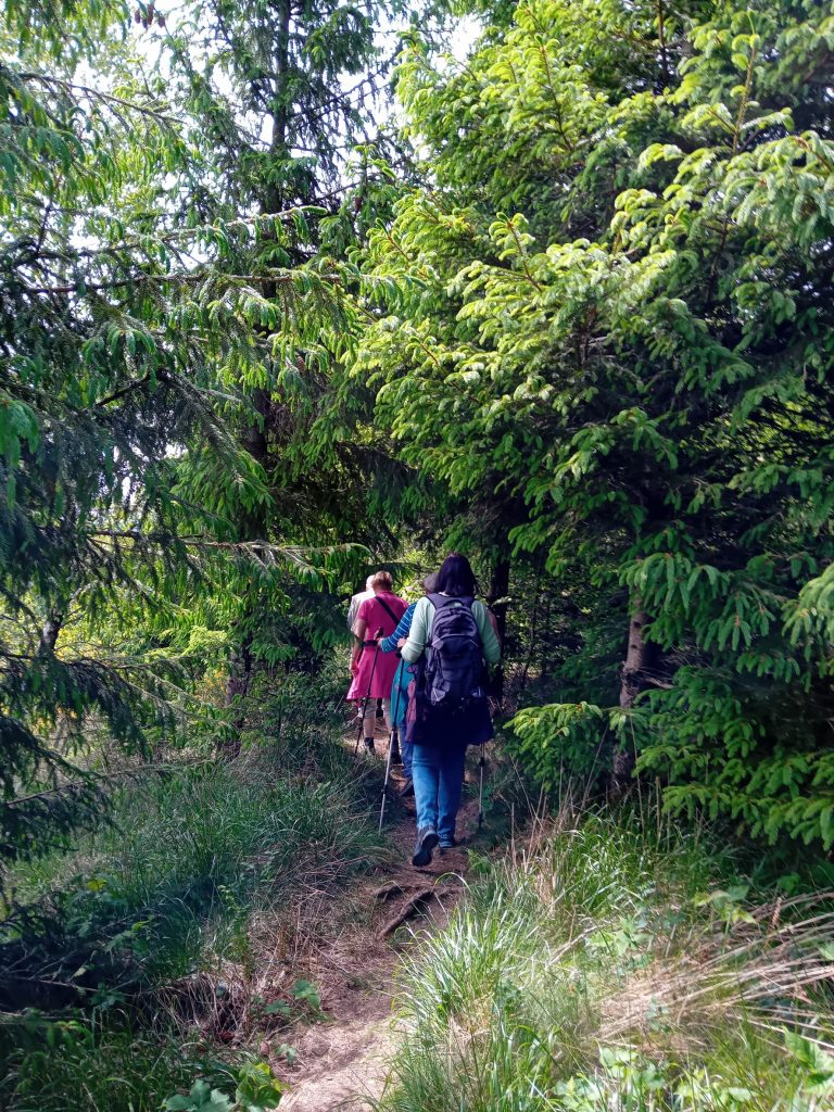 Jedermann-Wanderung im Mai