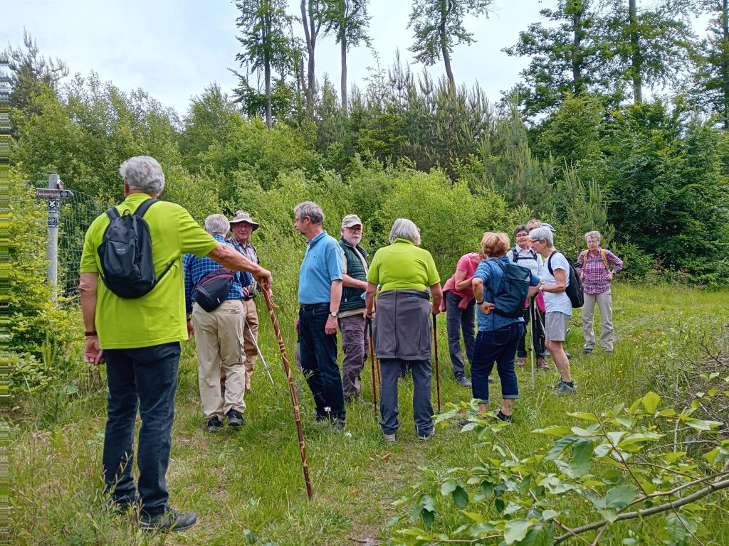 Jedermann-Wanderung am 4. Juni - auf dem Oeventroper Panoramaweg