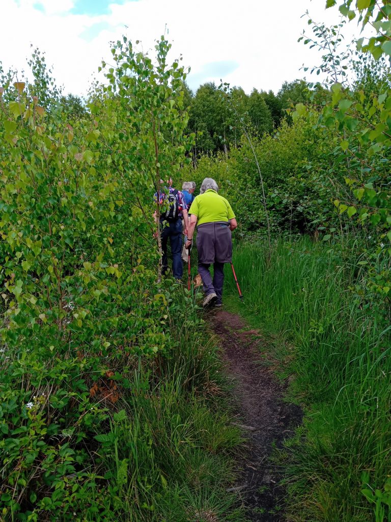 Jedermann-Wanderung am 4. Juni - stets bergan