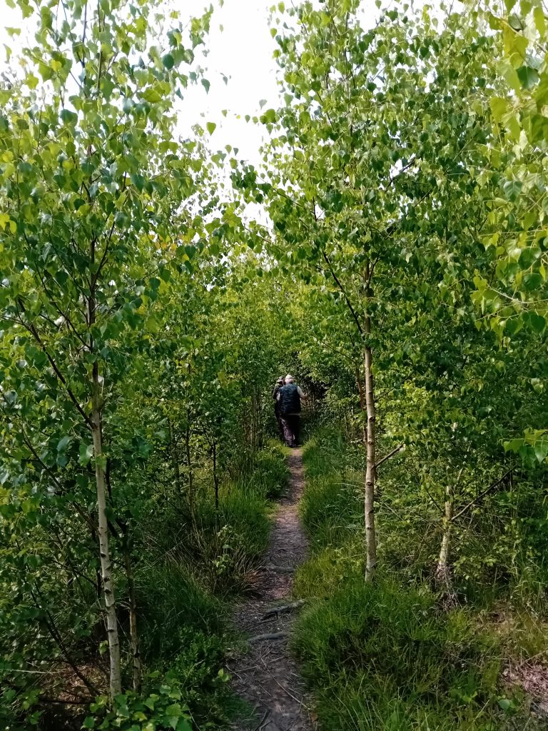 Jedermann-Wanderung am 4. Juni - durch den besonderen Wald