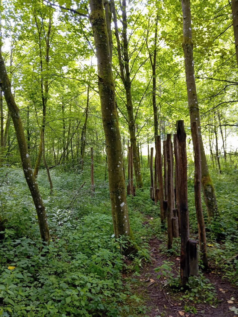 Jedermann-Wanderung im Juli - Stelzen am Hollenpfad