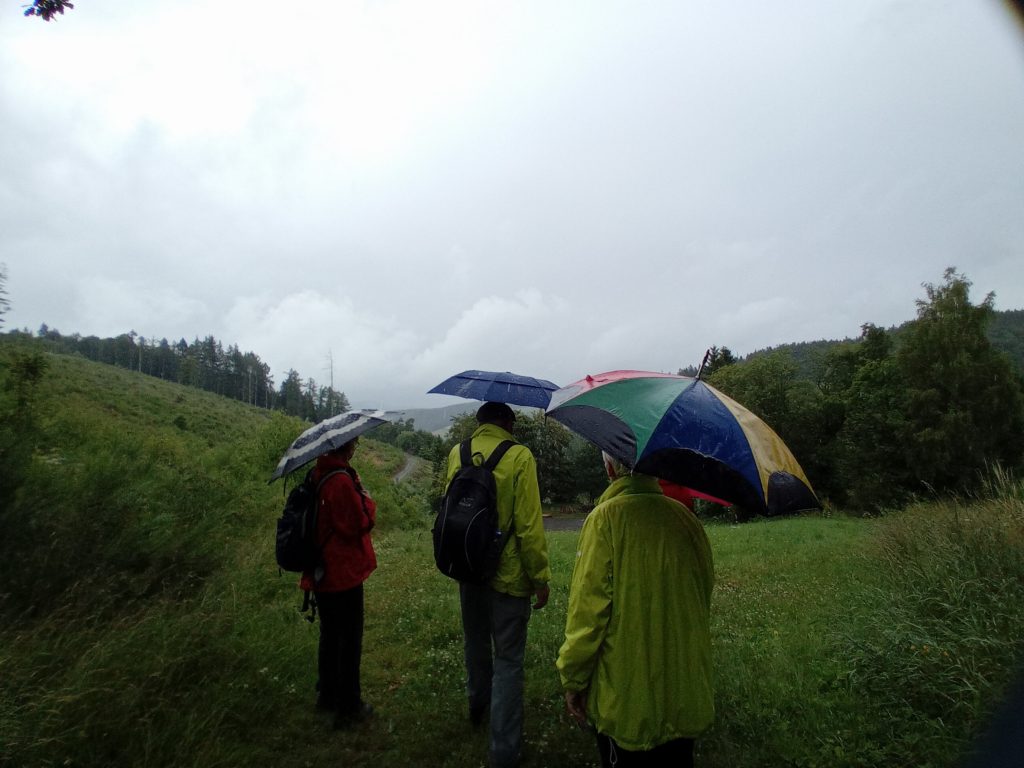 Jedermann-Wanderung im Juli