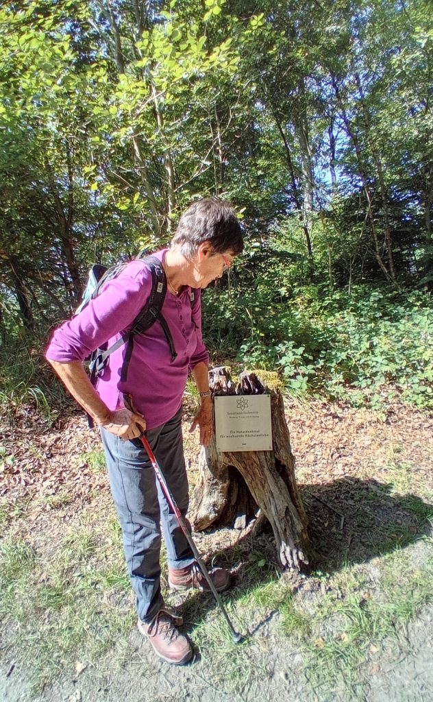 Jedermann-Wanderung auf dem Rothaarsteig im August