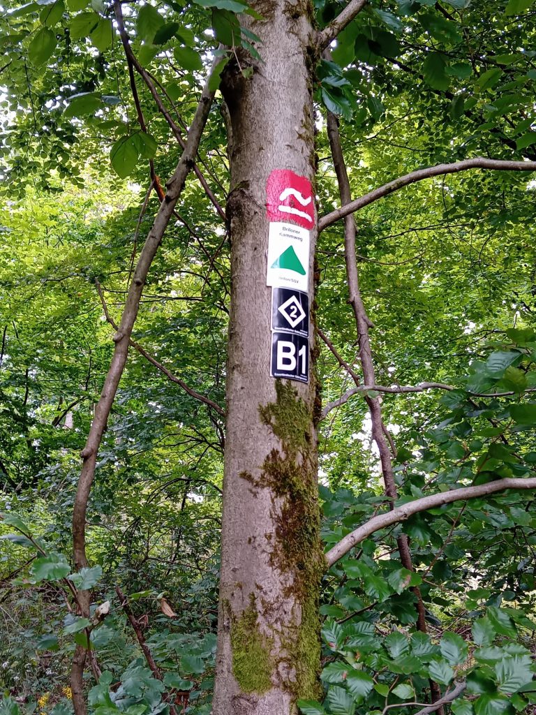 Jedermann-Wanderung auf dem Rothaarsteig im August