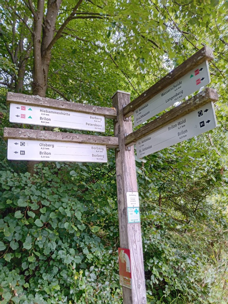 Jedermann-Wanderung auf dem Rothaarsteig im August
