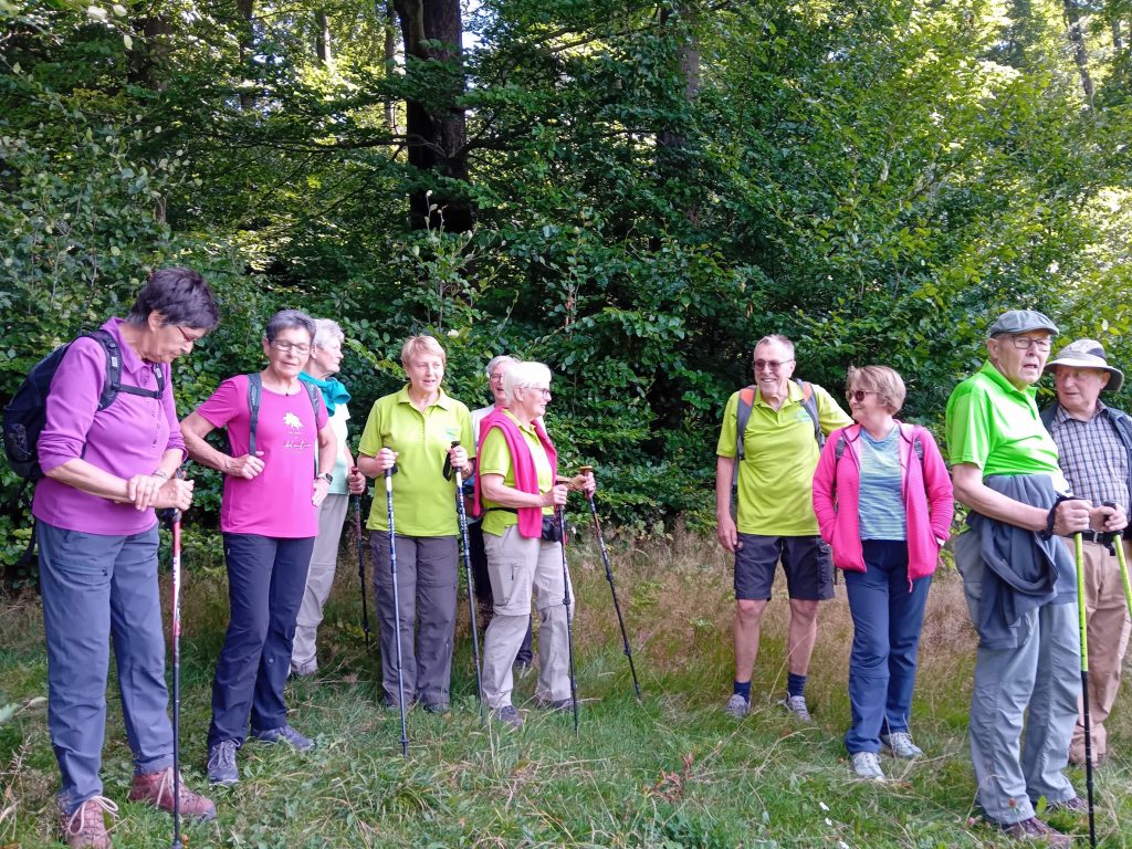 Jedermann-Wanderung auf dem Rothaarsteig im August