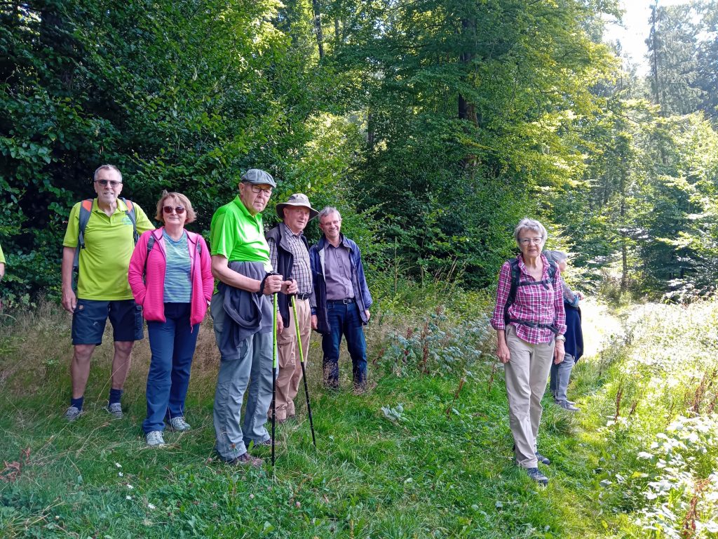 Jedermann-Wanderung auf dem Rothaarsteig im August