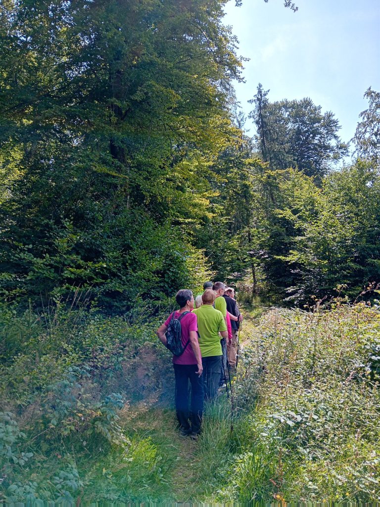 Jedermann-Wanderung auf dem Rothaarsteig im August