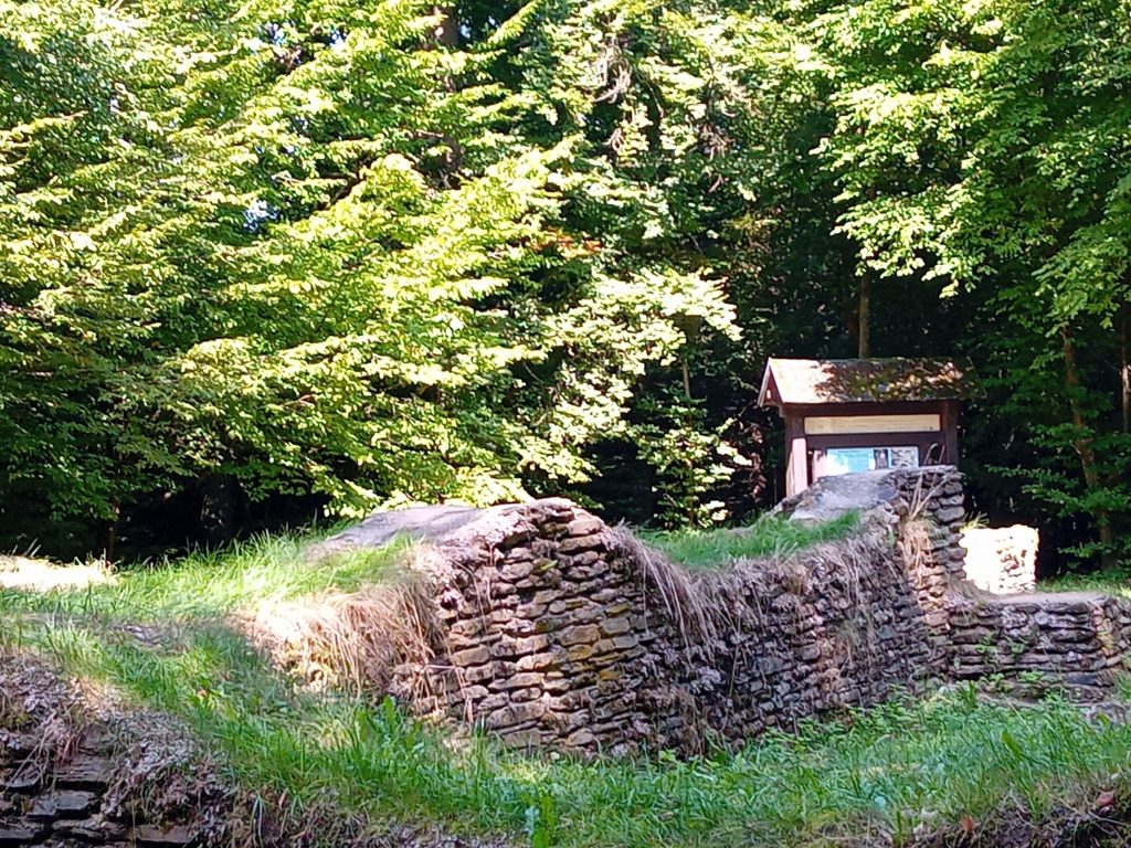 Jedermann-Wanderung auf dem Rothaarsteig im August