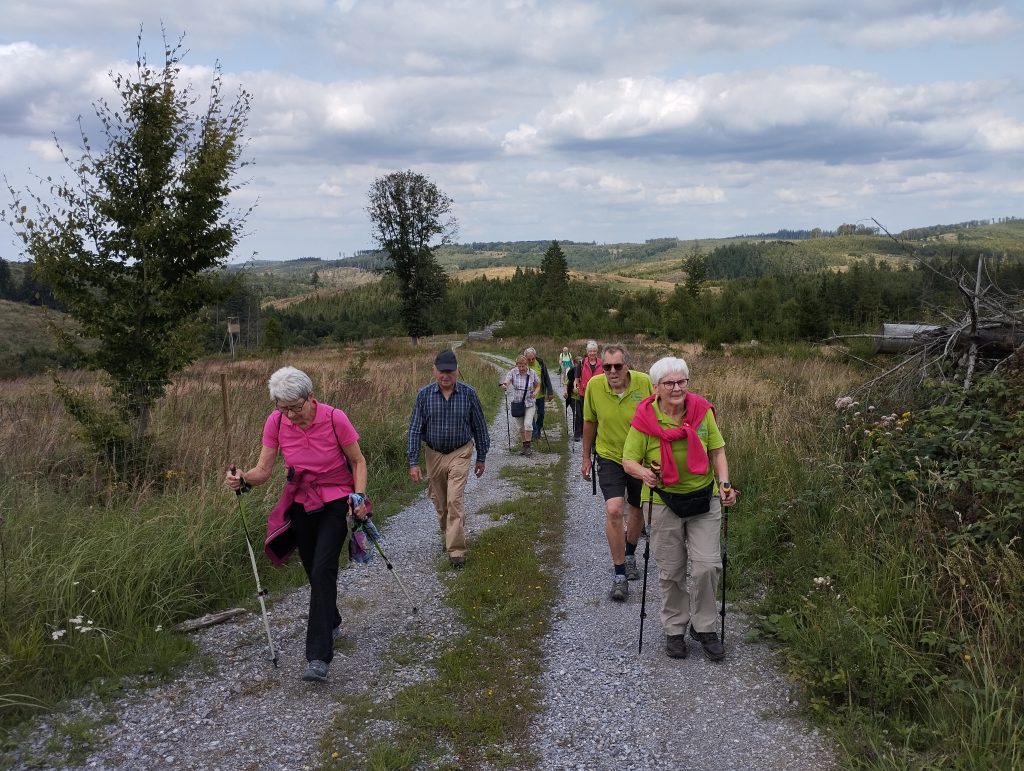 Anstieg zum "Großen Storchschnabel (517 m)
