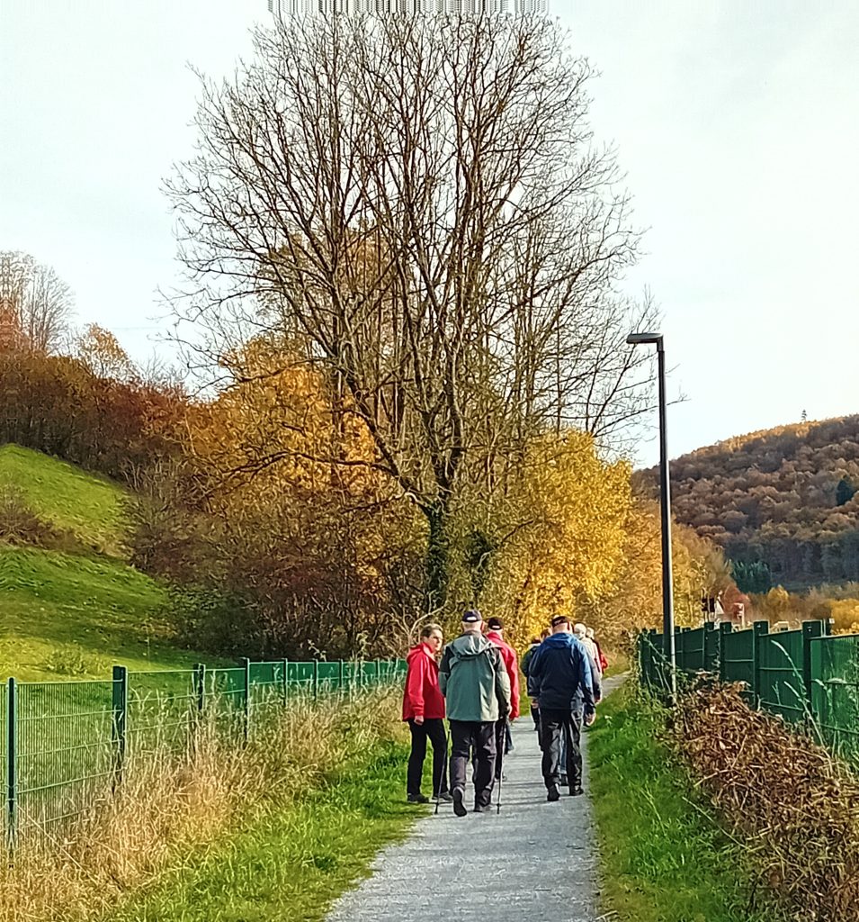 Jedermann-Wanderung im November
