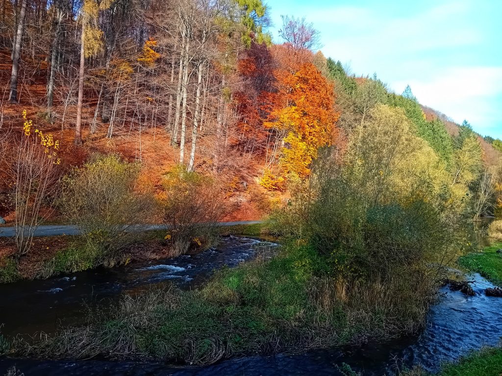 Jedermann-Wanderung im November