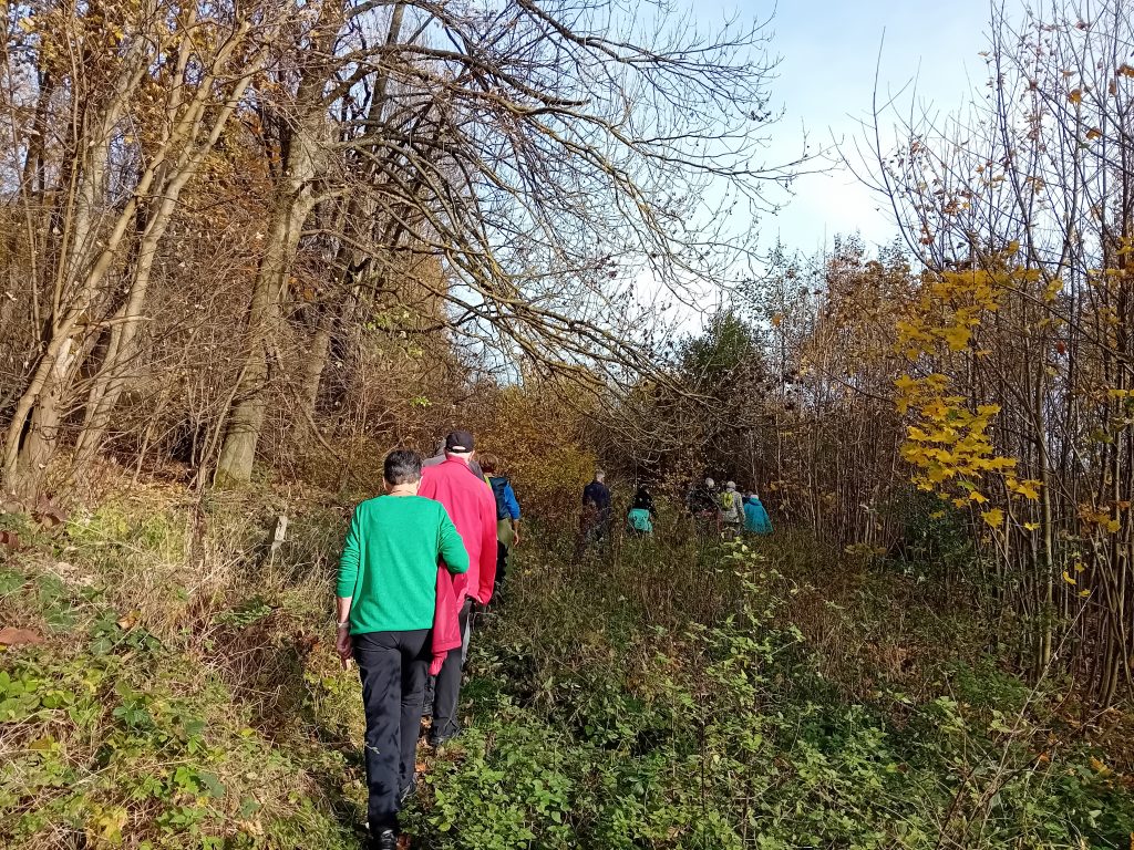 Jedermann-Wanderung im November