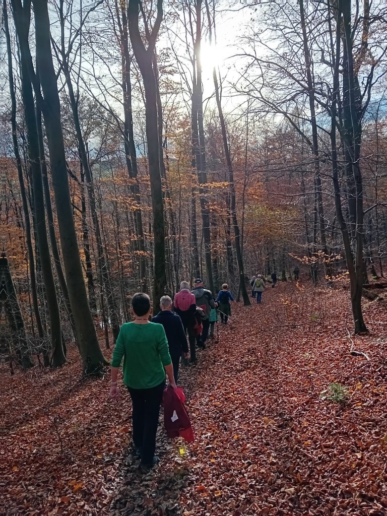 Jedermann-Wanderung im November