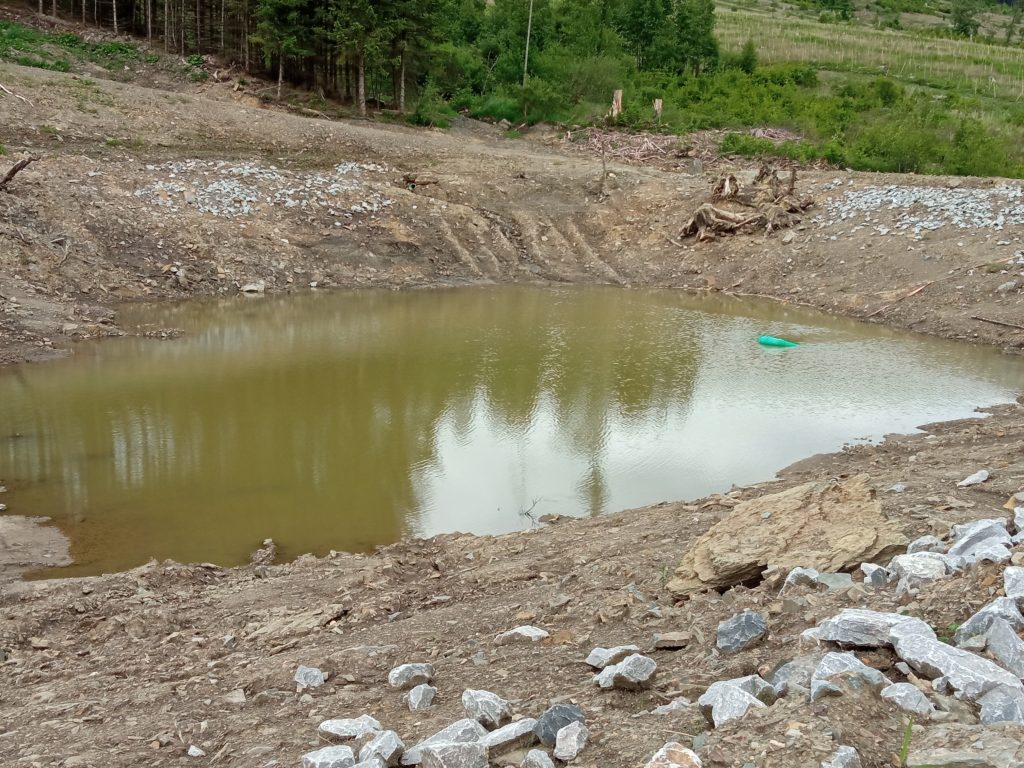 Löschteich Wanderung 3.Juni 2026